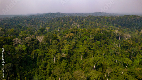 Kakum National Park & Canopy Walkway, Cape Coast, Ghana. 