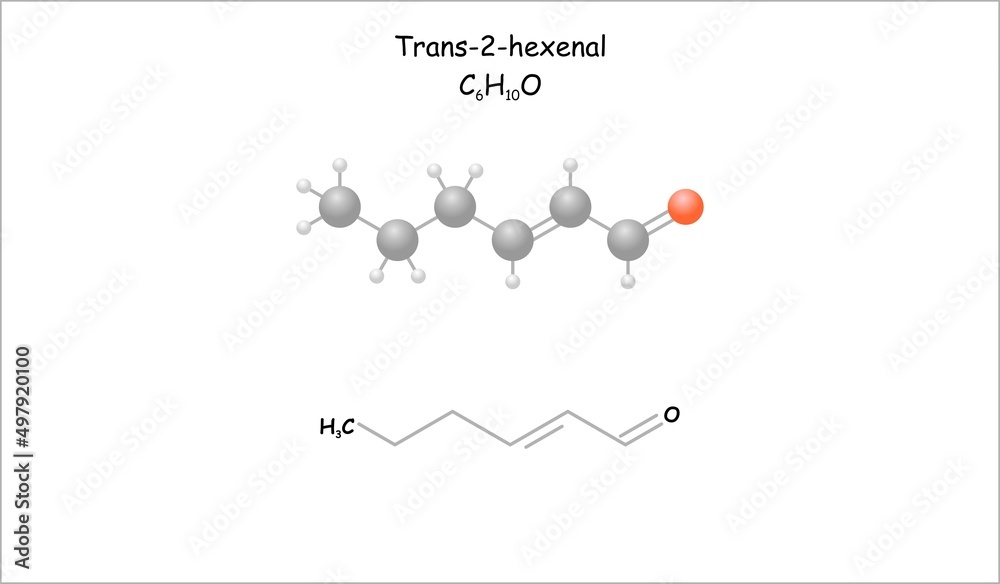Stylized molecule model/structural formula of trans2hexenal. A