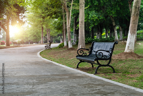 Benches on the roadside of the park © xy