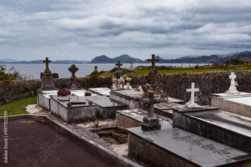 graves in cemetery