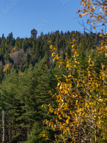  Autumn colors in mountain forests - Gorce Mountains