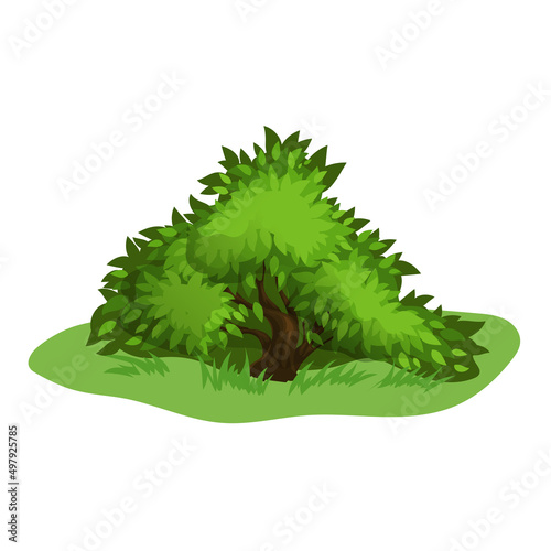 Single bush in cartoon style. Green shrub on the grass. Botanical and ecological illustration. Best for education and game needs. Vector drawing isolated on white background.