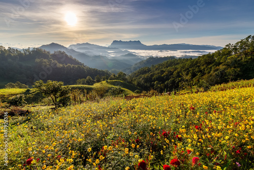 Beautiful landscape in the morning at Doi Luang Chiang Dao  Chiang Mai  Thailand