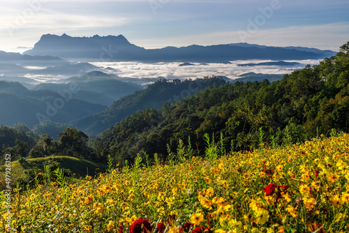 Beautiful landscape in the morning at Doi Luang Chiang Dao  Chiang Mai  Thailand