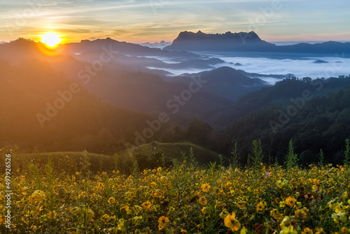 Beautiful landscape in the morning at Doi Luang Chiang Dao, Chiang Mai, Thailand