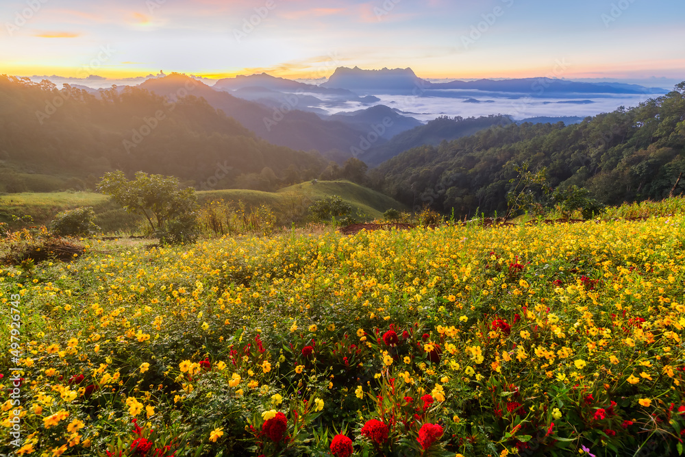 Fototapeta premium Beautiful landscape in the morning at Doi Luang Chiang Dao, Chiang Mai, Thailand