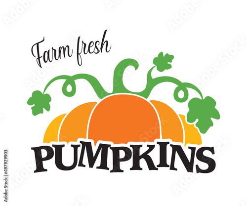 Farm fresh pumpkins logo, isolated on white  background, pumpkin sign,  fresh vegetables. Pumpkin icon. Farm stand sign. Pick your own pumpkins