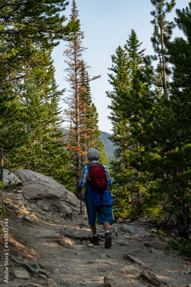 Obraz premium Hiking Trails are Accessible for Users of All Ages