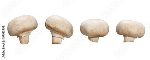 set of natural champignons isolated on white background