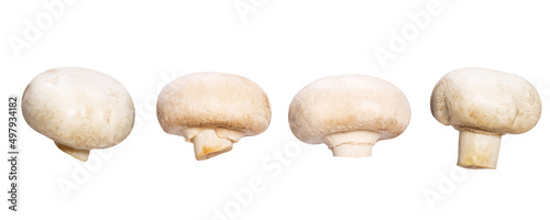 set of natural champignons isolated on white background