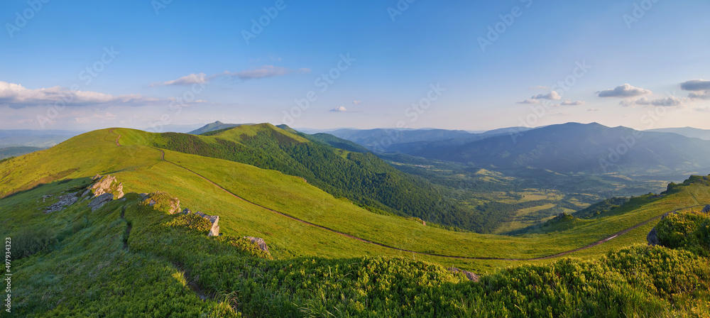 Serene summer mountain landscape in the Carpathians. Dirt road among green hills