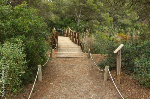 Footpath in Natural Park Albufera de Valencia,Spain,Europe
 photo