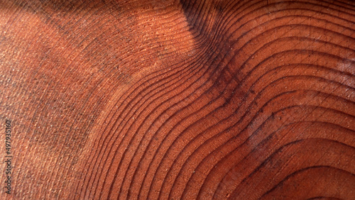 Rough texture of wood rings. Cut of an old tree.