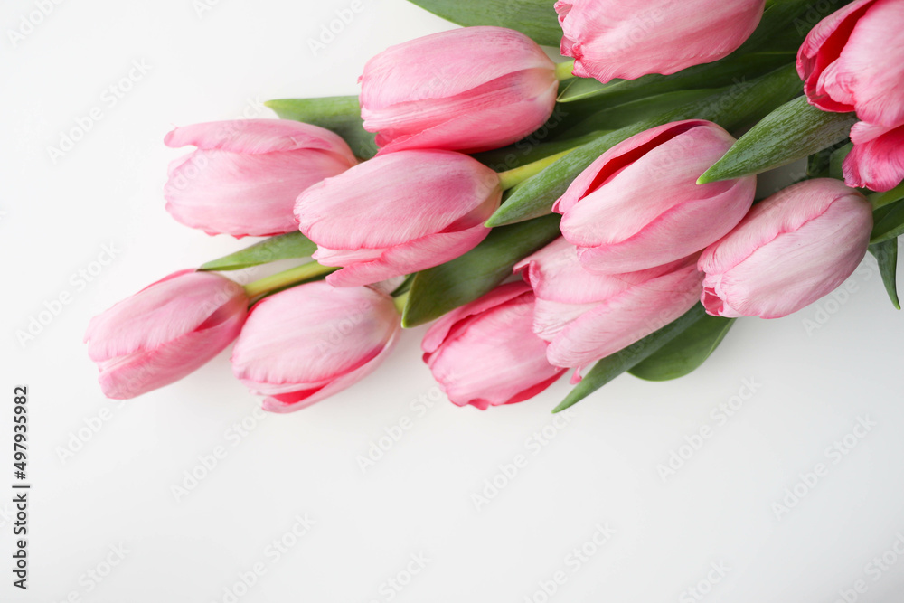bouquet of spring flowers. bouquet of pink tulips on a white background and space for text