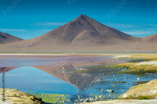 Licancabur  volcano and green lagoon in Bolivia