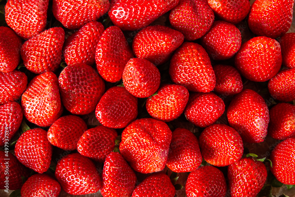 Freshly picked ripe red strawberries ready to eat. Freshly picked ripe red strawberries ready to eat.