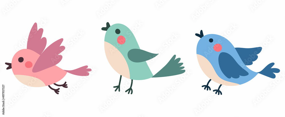Beautiful and cute multi-coloured birds. Spring birds with beautiful beaks and red cheeks. Vector birds for postcards