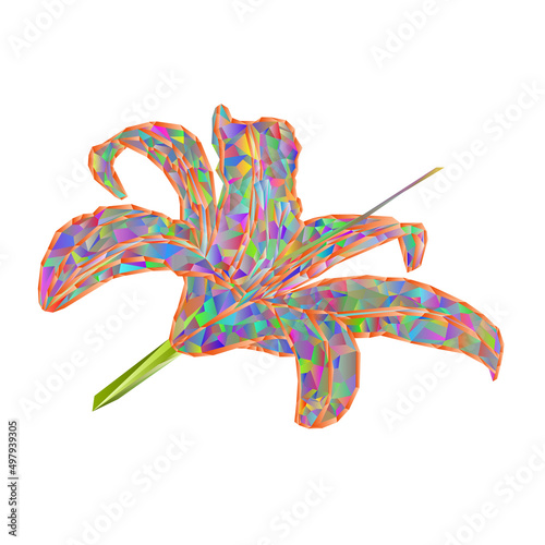 Spring flower Lily Daylily multicolored polygons vector illustration editable hand draw