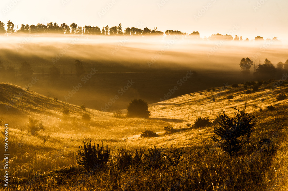 Foggy morning on meadow. sunrise landscape