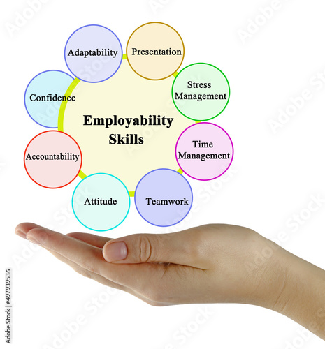 Eight Skills Which Promote Employability photo