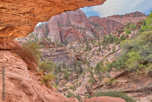 Natural Frame shot in Zion National Park