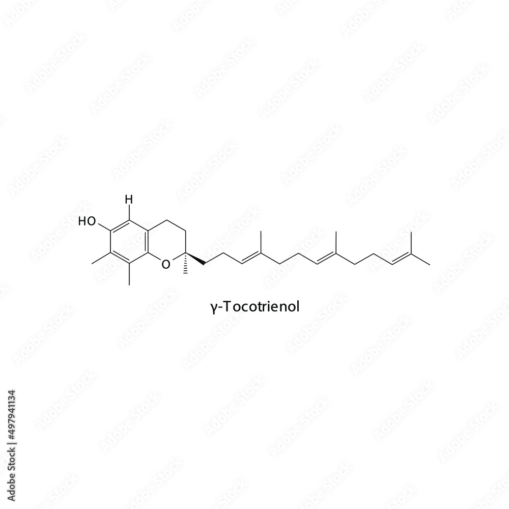 γ Gamma Tocotrienol Skeletal structure and molecular formula. Organic biomolecule, isolated vector illustration γ Gamma Tocotrienol Skeletal structure and molecular formula. Organic biomolecule, isolated vector illustration