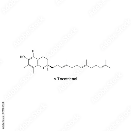 γ Gamma Tocotrienol Skeletal structure and molecular formula. Organic biomolecule, isolated vector illustration