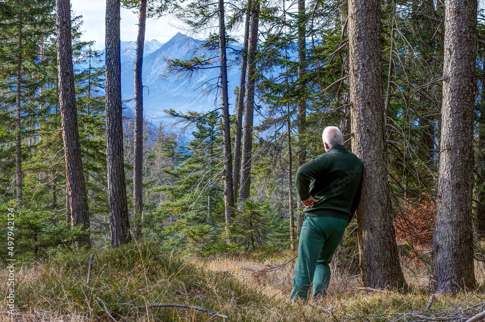 A mountain hiker in the Tyrolean Alps leans against a tree in the forest and enjoys the magnificent view of the mountains of the mountain range Mieminger Kette. A mountain hiker in the Tyrolean Alps leans against a tree in the forest and enjoys the magnificent view of the mountains of the mountain range Mieminger Kette.