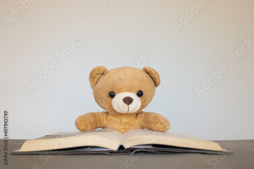 Brown teddy bears sitting on a white background reading a book. Concept back to school, education. © jakkrit