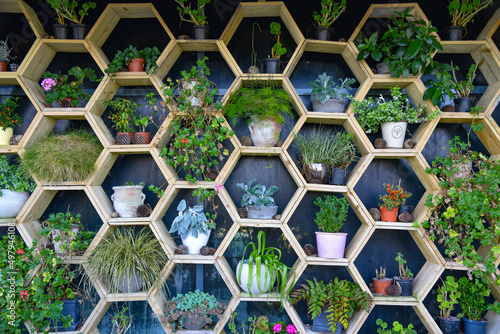 seamless hexagon pattern garden shelves
