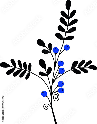 A twig with leaves and berries. A vector file is useful for creating your designs.