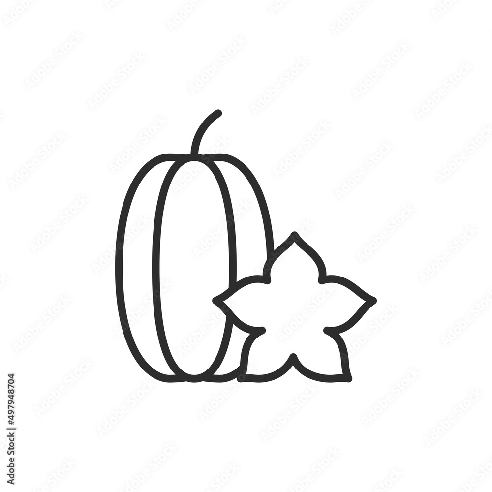 Fruit star thin line icon. Linear symbol. Vector illustration.. Fruit star thin line icon. Linear symbol. Vector illustration..