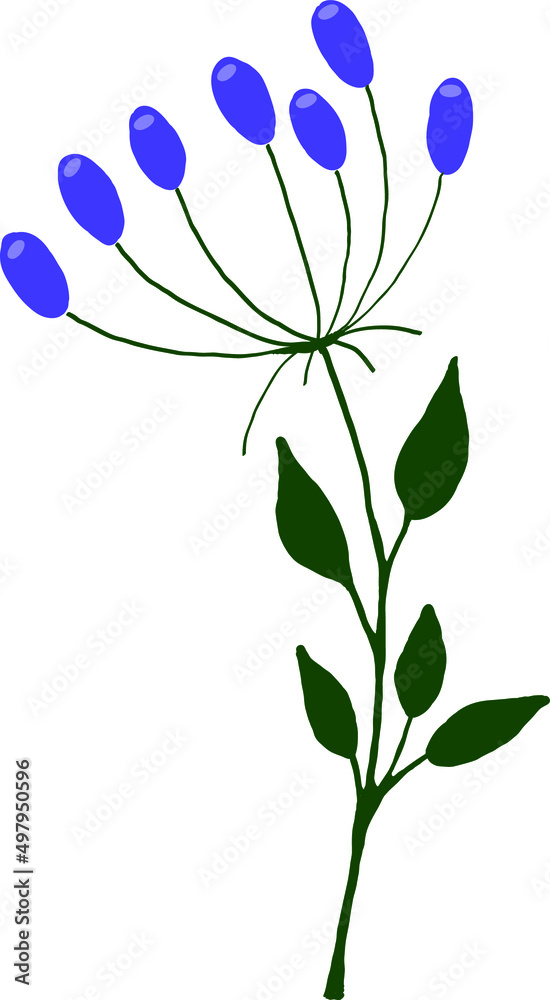 Obraz premium A plant with green leaves and blue berries. Vector file for designs.