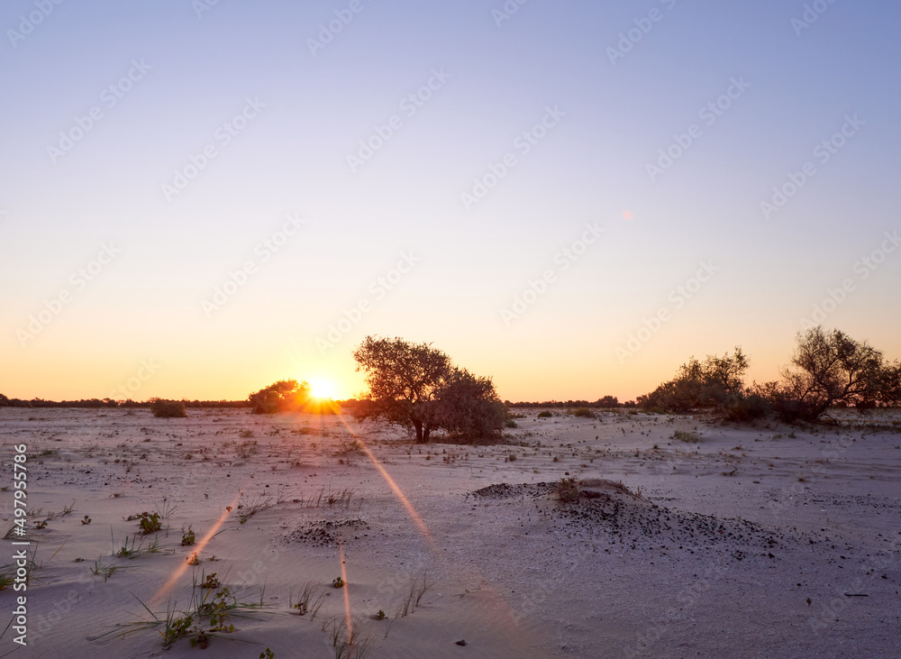 Warm landscape of dry wildflower and grass on the beach.