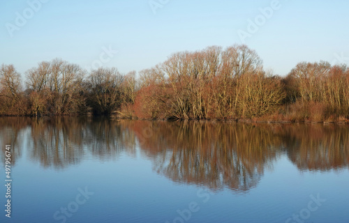 A beautiful reflection shot of a waterfront woodland area in the winter sunshine. 