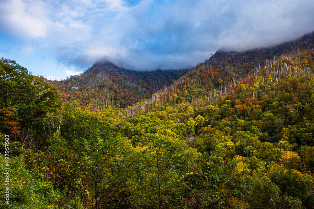 Weather clearing up over mountainside with beautiful saturated fall colors in the Great Smoky Mountains National Park, Tennessee, USA.