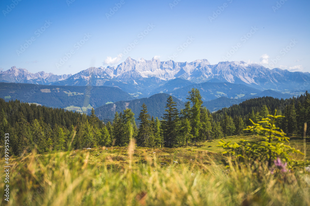 Idyllic mountain landscape in the alps, Dachstein, Austria: Beautiful scenery of meadow, trees, mountains and blue sky