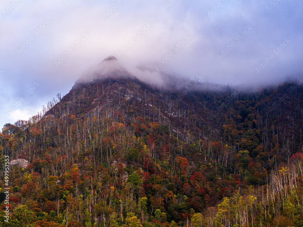 Outdoors hiking view with low sweeping clouds over the Chimney Top mountain with beautiful saturated fall colors in the Great Smoky Mountains National Park, Tennessee, USA.