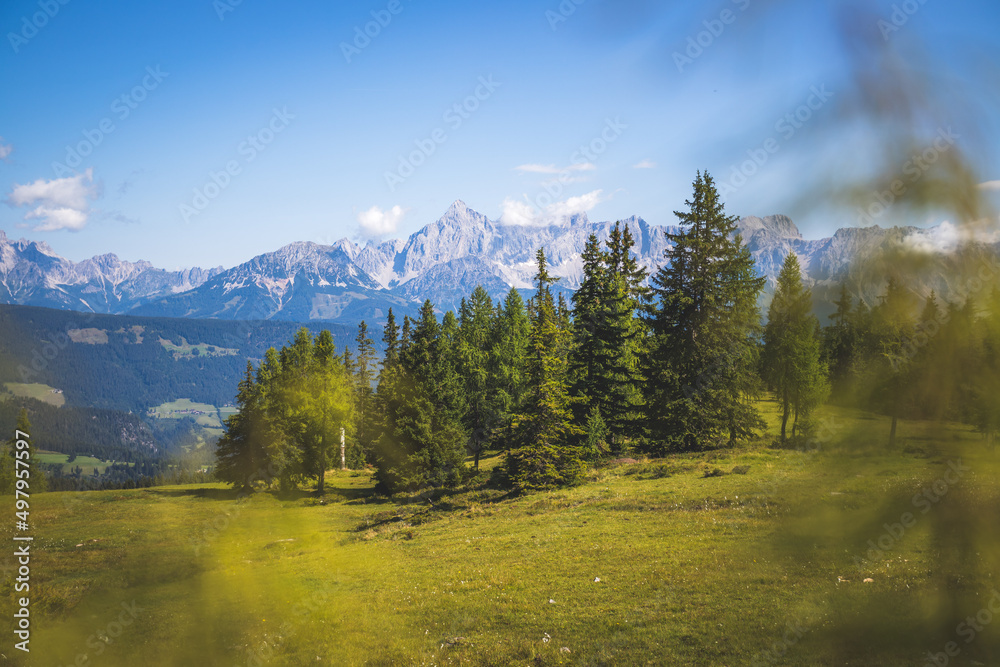 Idyllic mountain landscape in the alps, Dachstein, Austria: Beautiful scenery of meadow, trees, mountains and blue sky