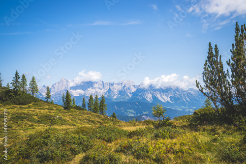 Idyllic mountain landscape in the alps  Dachstein  Austria  Beautiful scenery of meadow  trees  mountains and blue sky