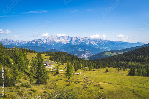 Idyllic mountain landscape in the alps, Dachstein, Austria: Beautiful scenery of meadow, trees, mountains and blue sky © Patrick Daxenbichler