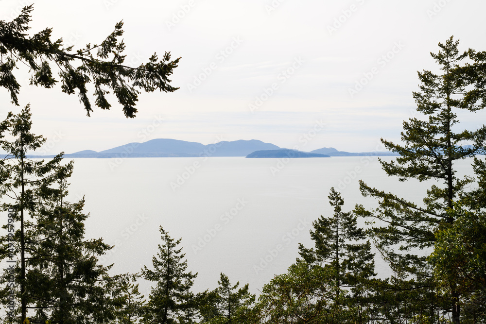 Fir trees in the foreground frame the San Juan Islands in Washington State in the background Fir trees in the foreground frame the San Juan Islands in Washington State in the background