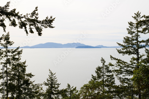 Fir trees in the foreground frame the San Juan Islands in Washington State in the background