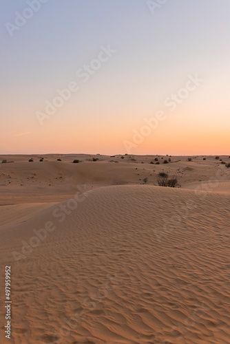 Desert sunset with empty dunes in Dubai or Abu Dhabi  United Arab Emirates