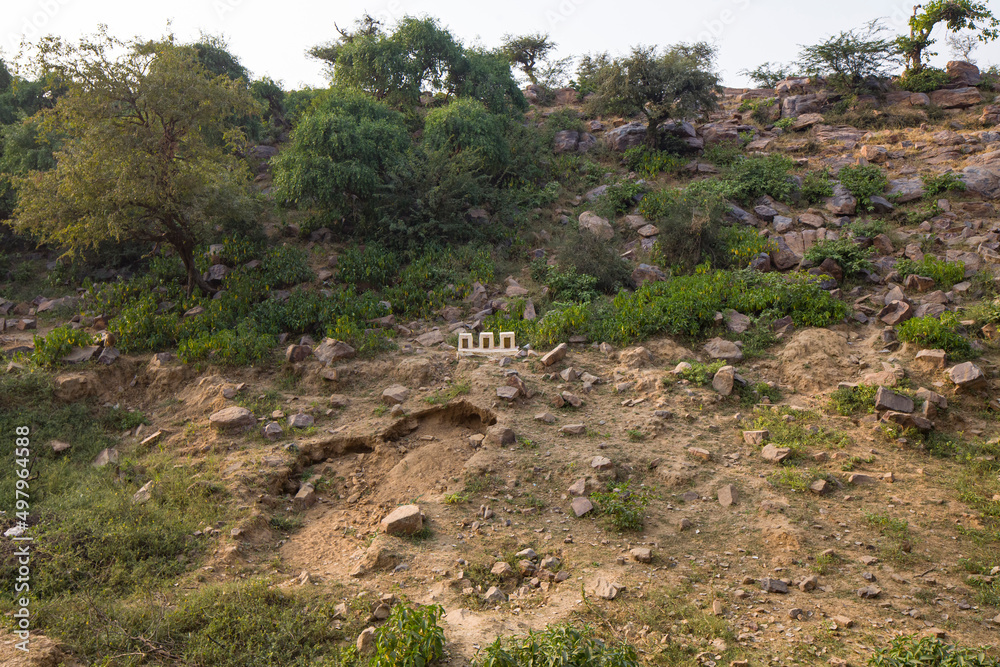 thorny vegetation on the rocky surface of the sacred Indian hill govardhan thorny vegetation on the rocky surface of the sacred Indian hill govardhan
