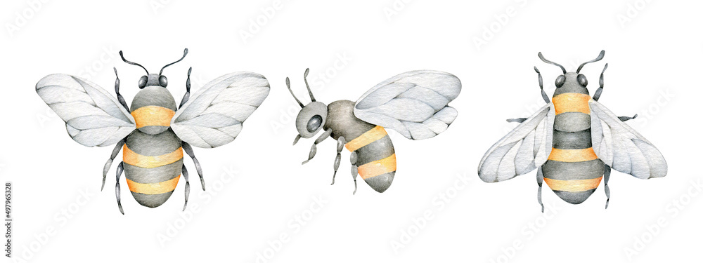 Fotografia Bees set