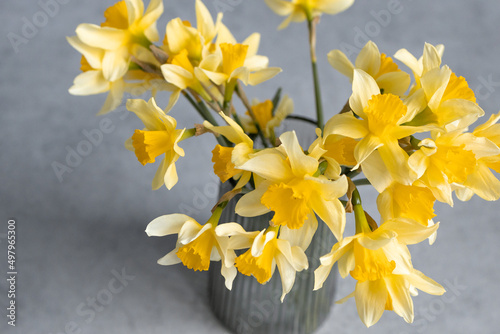 Yellow flowers in a vase