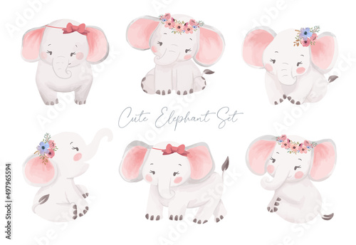 Cute Little Baby Elephant watercolor with flower wreath hand drawing illustration. Safari animal set