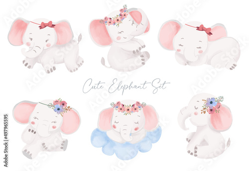 Cute Little Baby Elephant watercolor with flower wreath hand drawing illustration. Safari animal set