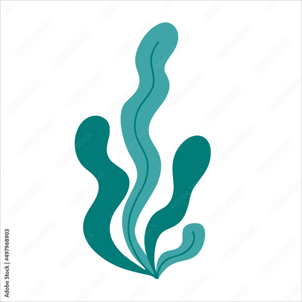 Simple seaweeds hand drawn in doodle style. Vector illustration. Simple seaweeds hand drawn in doodle style. Vector illustration.